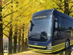 Nami Island Round-Trip Shuttle Bus