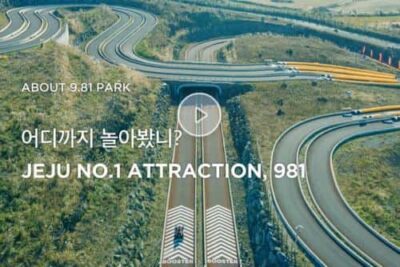 9.81 Park Passes