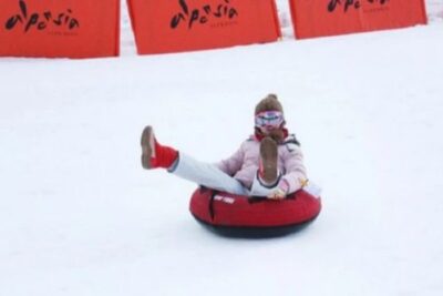 Alpensia Resort Snow Sledding Tour from Seoul
