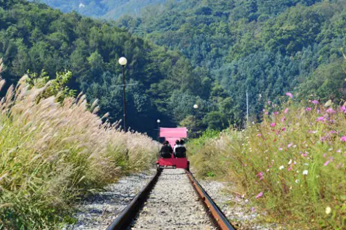 Gangchon Rail-Bike (From Gangchon Railpark Homepage)