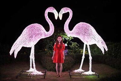 Jeju Herb Garden Discount Ticket