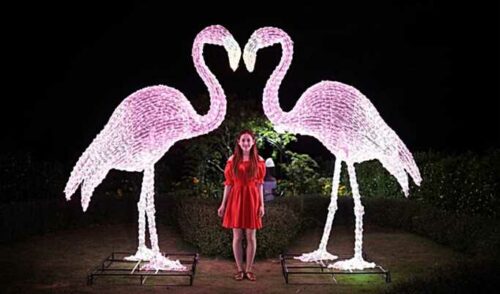 Boleto de descuento para el jardín de hierbas de Jeju