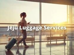 Jeju Luggage Services