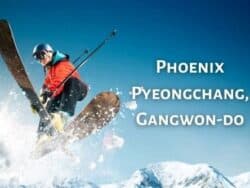 Phoenix Pyeongchang