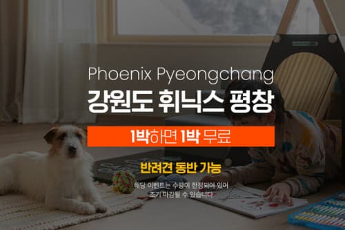 Pyeongchang Phoenix stay with a dog and BBQ package