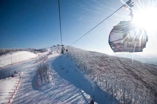 โซล ↔ High1 Ski Resort Shuttle Bus