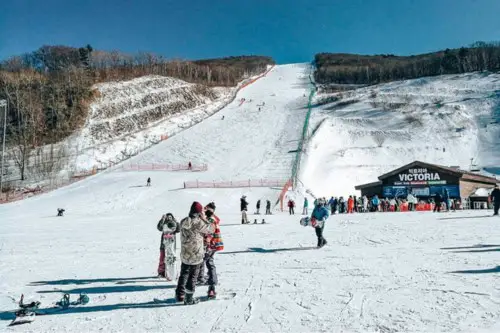 Seoul ↔ High1 Ski Resort Shuttlebus