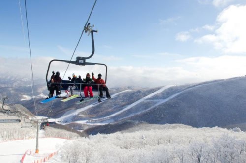 โซล ↔ High1 Ski Resort Shuttle Bus