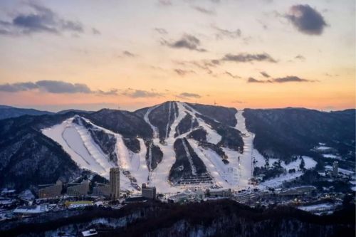 Seoul ↔ Phoenix Park Ski Resort Shuttlebus