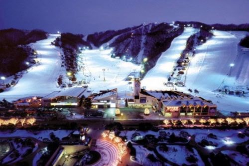 โซล / สนามบิน ↔ Vivaldi Park Ski Resort รถรับส่งส่วนตัว