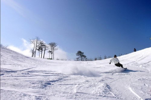 Séoul / Aéroport ↔ Transfert privé à la station de ski du parc Vivaldi