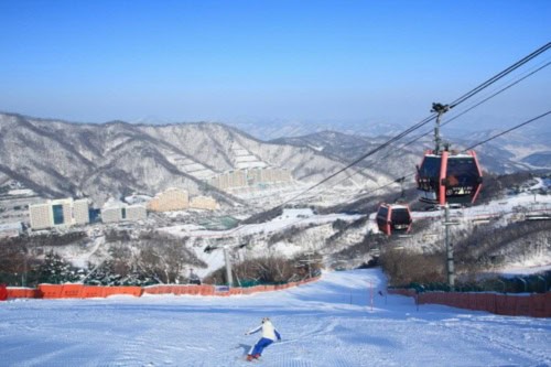 Seoul / Bandara ↔ Transportasi Pribadi Resor Ski Vivaldi Park