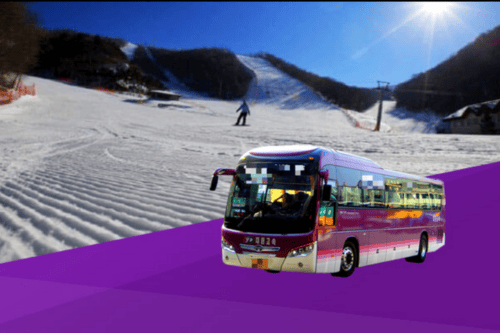 Trazy Seoul ↔ Yongpyong Ski Resort Shuttle Bus