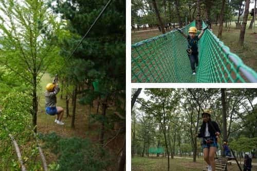 TreeGo for kids in Nami Island