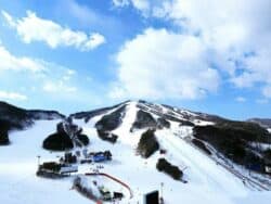 Welli Hilli Park Ski Resort