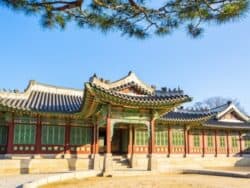 Free Walking Tour Changdeokgung Palace