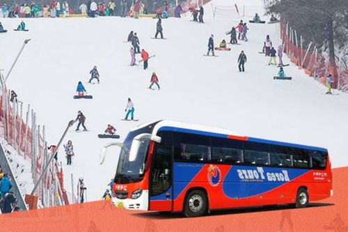 Autobús lanzadera desde Seúl a la estación de esquí Elysian Gangchon - Imagen 3