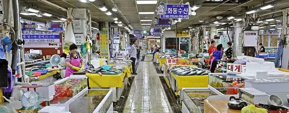 mercado jumunjin melhores coisas para fazer em gangwon-do