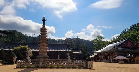 templo woljeongsa mejores cosas para hacer en gangwon-do