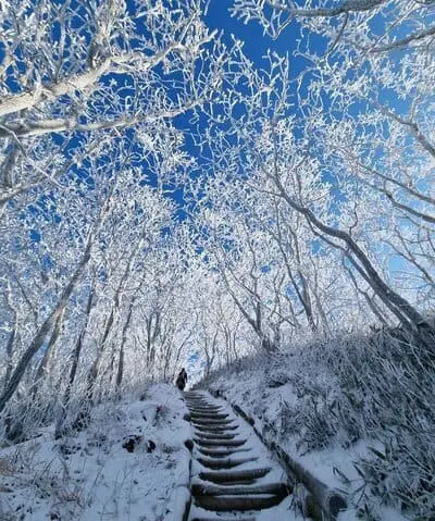 อุทยานแห่งชาติเจียกซาน ที่เที่ยวที่ดีที่สุดในคังวอนโด