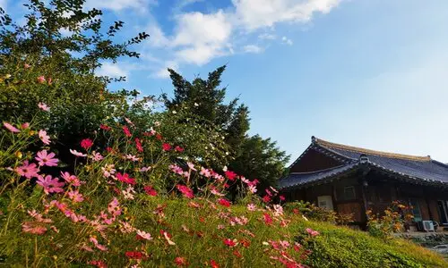 Aktivitäten im Tempel Gangwon-Do Gongjaksan Sutasa