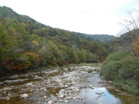 odaesan hoạt động để làm ở Gangwondo