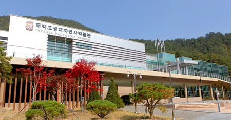 best things to do in gangwon-do