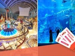 Lotte World One Day Pass + Aquarium Day Pass (Foreigners ONLY)