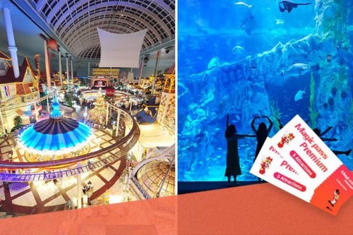 Lotte World One Day Pass + Aquarium Day Pass (Mga Dayuhan LANG)