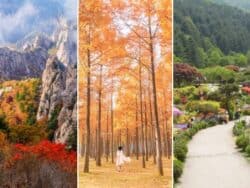 Seoraksan National Park + Nami Island + Garden of Morning Calm 1 Day Tour