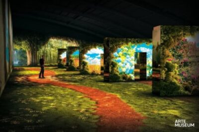 Gangwon/Gangneung Arte Museum Admission Ticket