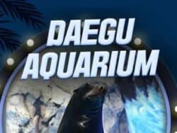 Daegu Alive Aquarium Admission Ticket