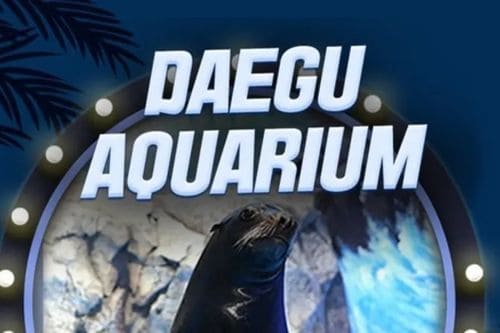 Tiket Masuk Daegu Alive Aquarium