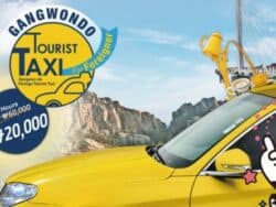 Gangwon-do 3Hours Taxi Tour