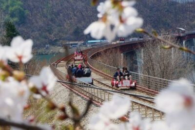 Gyeonggang Rail-Bike-Ticket