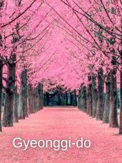 Gyeonggi-do things to do