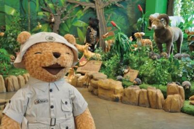Jeju Island Teddy Bear Theme Park (Teseum) Discount Ticket