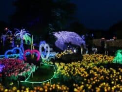 Jeju Light Garden e Photo Studio