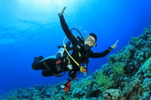 Jeju Seogwipo Scuba Diving