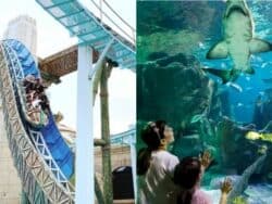 สวนสนุกและพิพิธภัณฑ์สัตว์น้ำ Lotte World