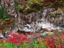 Tur Harian Dedaunan Musim Gugur Taman Nasional Seoraksan dari Seoul