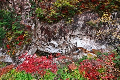 Tur Harian Dedaunan Musim Gugur Taman Nasional Seoraksan dari Seoul