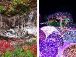 Seoraksan National Park + Nami Island + Garden of Morning Calm 1 Day Tour