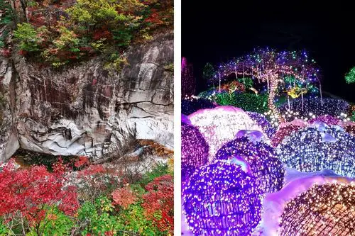 ทัวร์อุทยานแห่งชาติซอรัคซาน + เกาะนามิ + สวน Garden of Morning Calm 1 วัน
