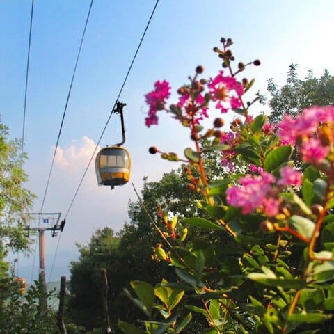 palgongsan cable car