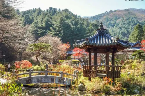 Tour di un giorno all'isola di Nami, alla raccolta delle fragole e al giardino della calma mattutina