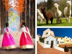 Alpaca World + île de Nami + excursion d'une journée à la Petite France