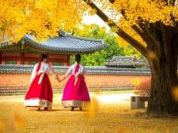 Hanbok Rental and Photoshoot in Seoul