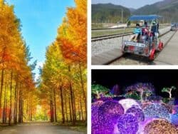 Nami Island, Rail Bike und Garden of Morning Calm Day Tour