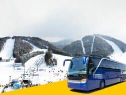 Seoul Bus Antar-Jemput Resor Ski Yongpyong